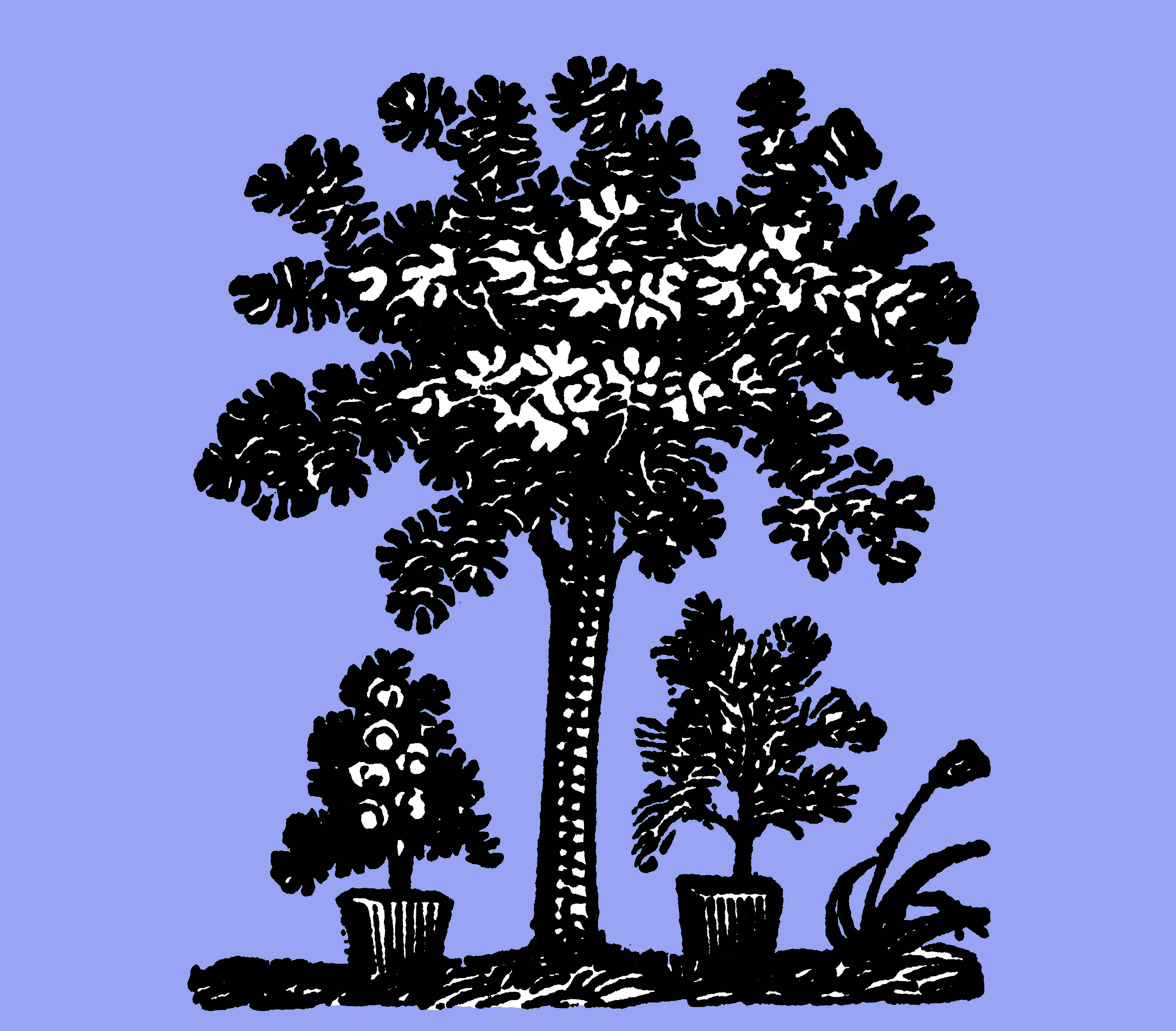 Ragan Associates, PA